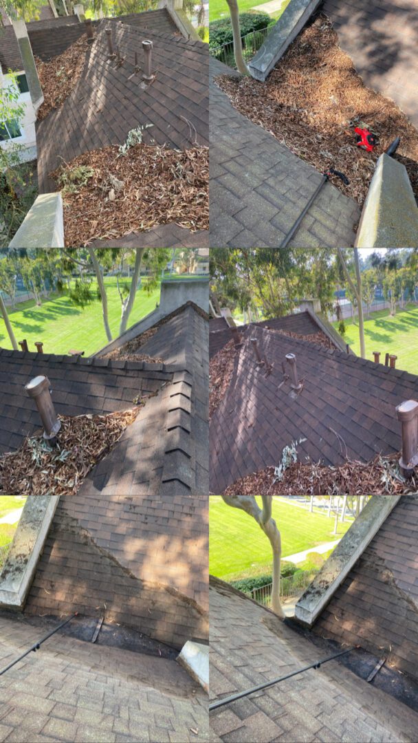 A collage of photos showing leaves on the roof.
