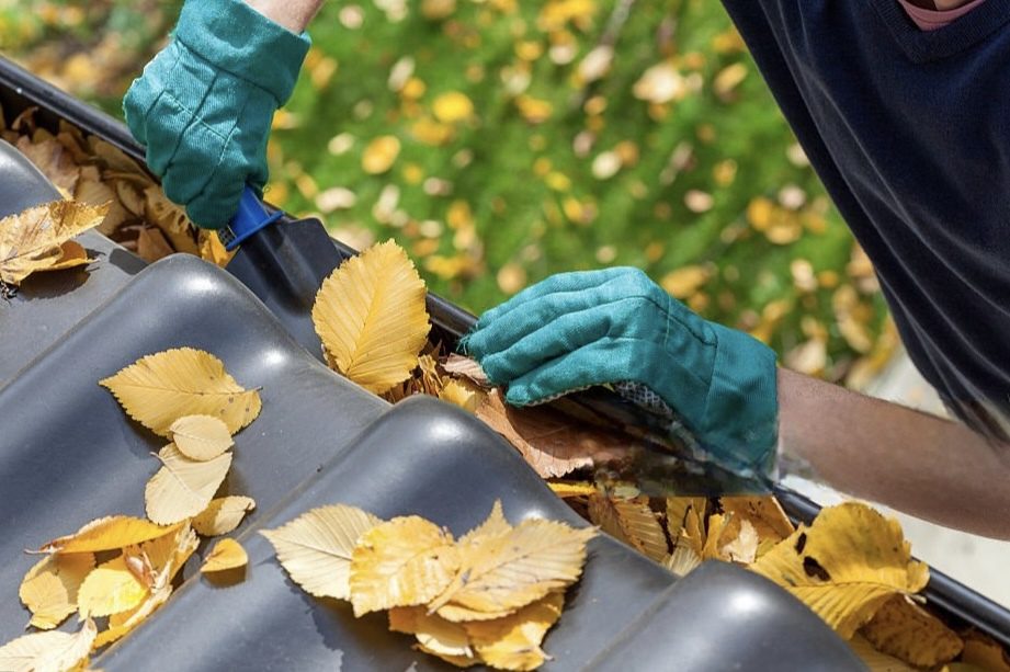 Cleaning leaves from a gutter.