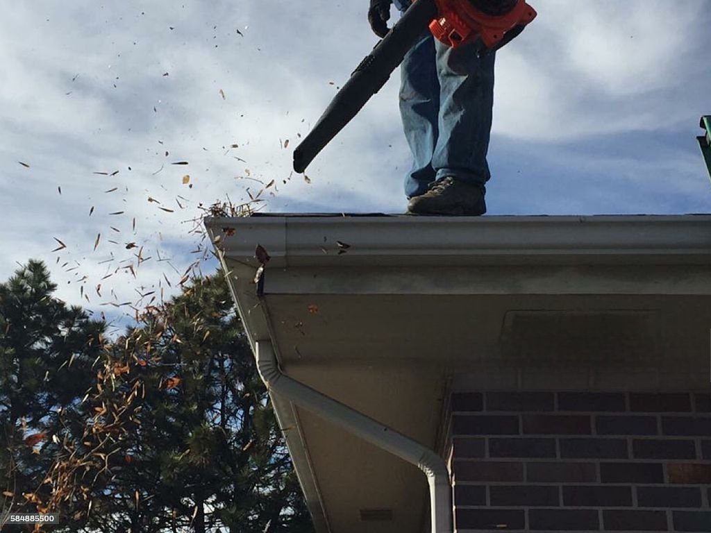 Person blowing leaves off a roof.