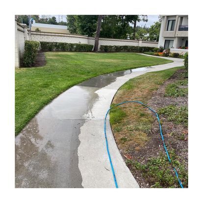 Wet concrete path with blue hose.