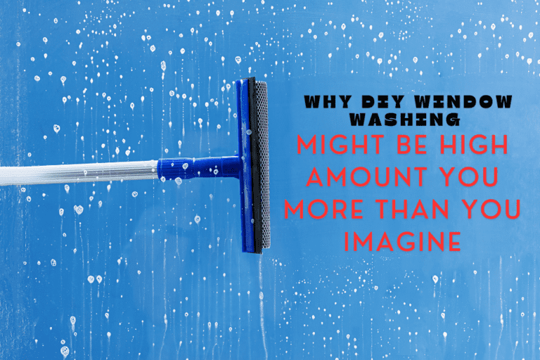 Read more about the article Why DIY Window Washing Might Be High Amount You More Than You Imagine