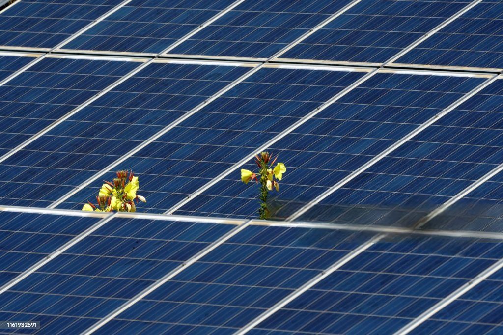 solar-panel-cleaning-in-laguna-woods-california